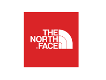the north face discount